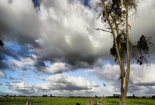 老鹰队华府双卫本季表现逐渐提升