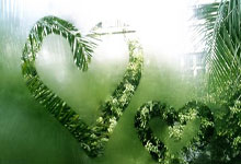 一场备受瞩目的足球盛宴即将在球场上演