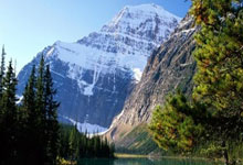 老鹰队华府双卫本季表现逐渐提升