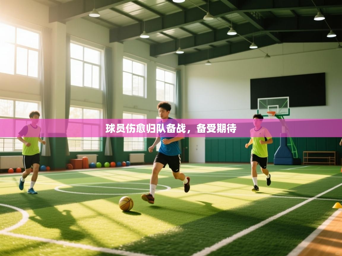 球员伤愈归队备战，备受期待