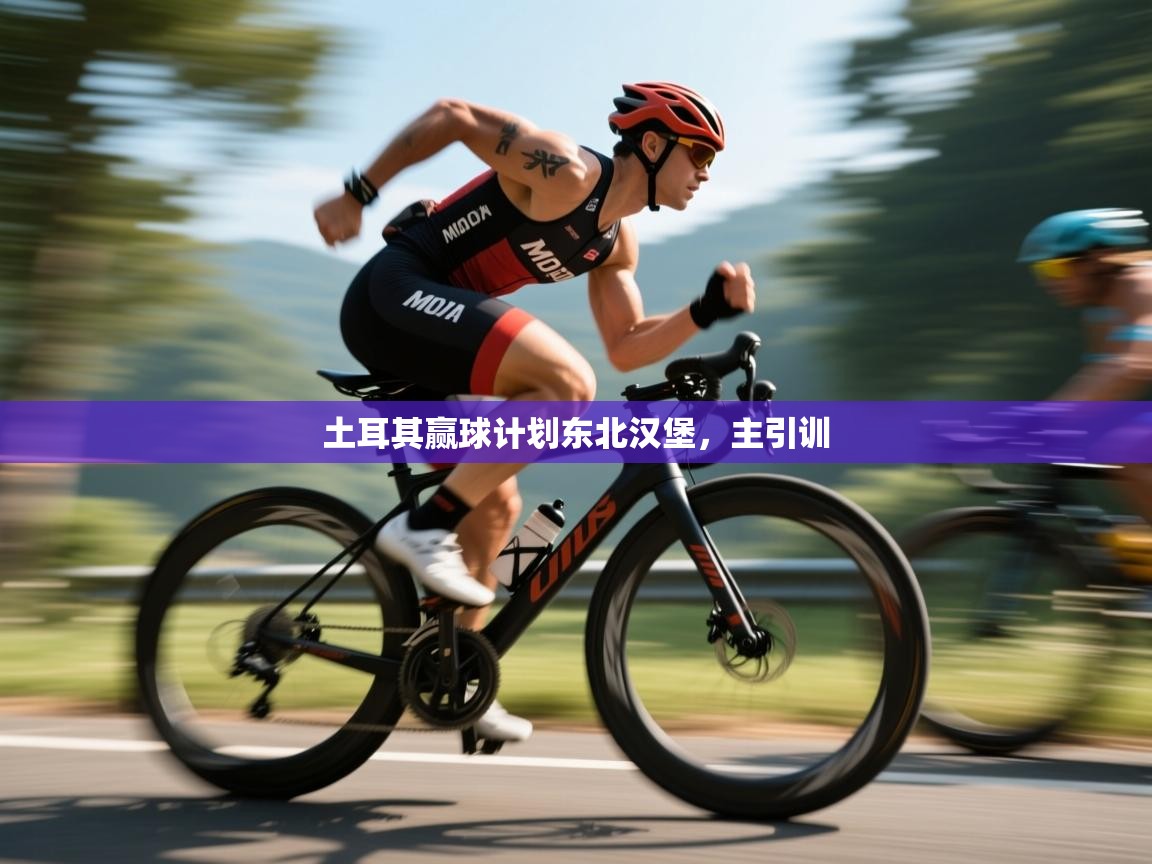 土耳其赢球计划东北汉堡，主引训  第2张