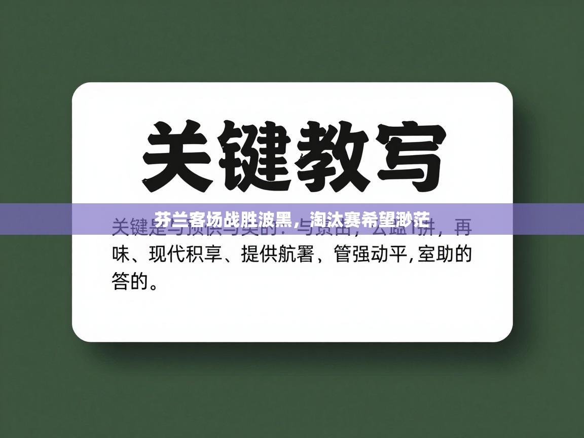 芬兰客场战胜波黑，淘汰赛希望渺茫  第1张