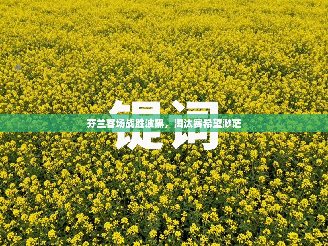 芬兰客场战胜波黑，淘汰赛希望渺茫  第2张