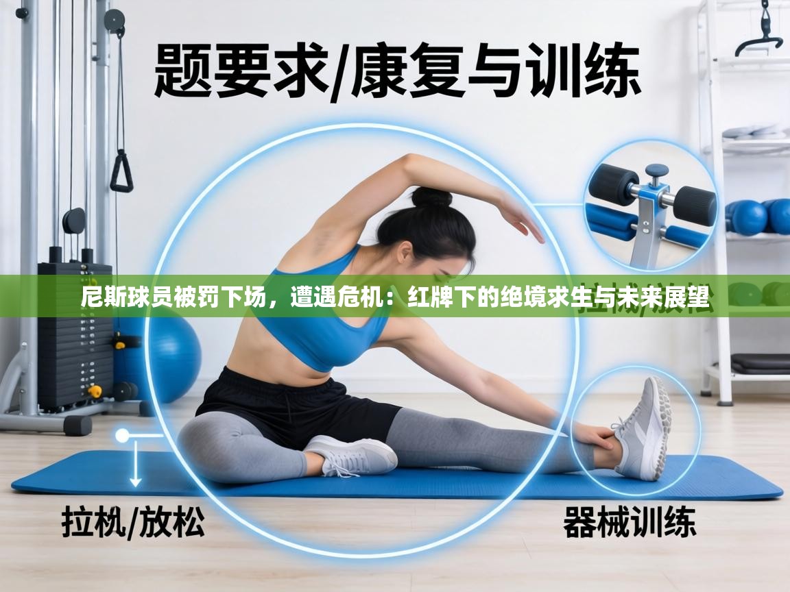 尼斯球员被罚下场，遭遇危机：红牌下的绝境求生与未来展望
